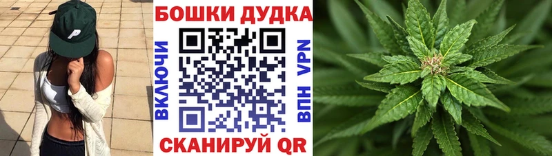 Наркотические вещества Белокуриха ГАШИШ COCAIN Мефедрон Конопля
