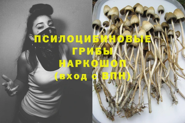 гашик Баксан