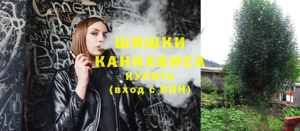 ГАЛЛЮЦИНОГЕННЫЕ ГРИБЫ Армянск