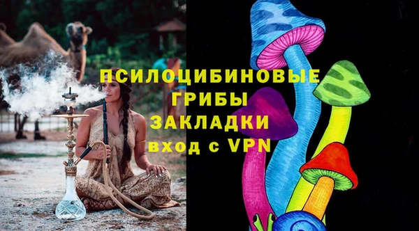 ГАЛЛЮЦИНОГЕННЫЕ ГРИБЫ Армянск